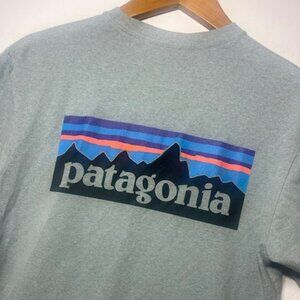 Patagonia Men's Gray Graphic Short Sleeve T Shirt Sz S